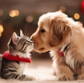 100% animaux !