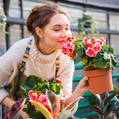 Notre sélection de plantes !