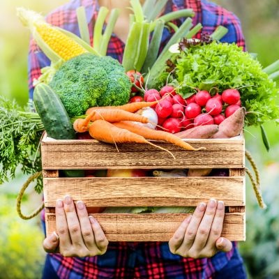 Notre arrivage de fruits et légumes