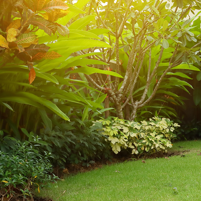 Tout pour le jardin !