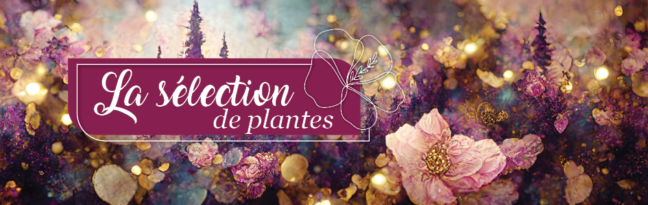 à saisir Mercredi, 05.11.
Notre sélection de plantes à saisir Mercredi, 05.11.
