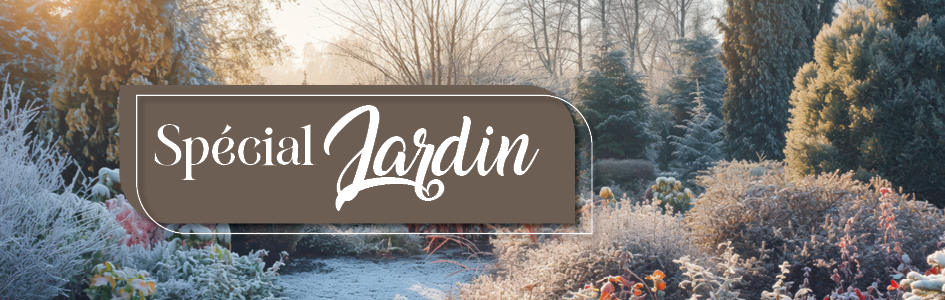 à saisir Mercredi, 12.11.
Pour votr jardin ! à saisir Mercredi, 12.11.