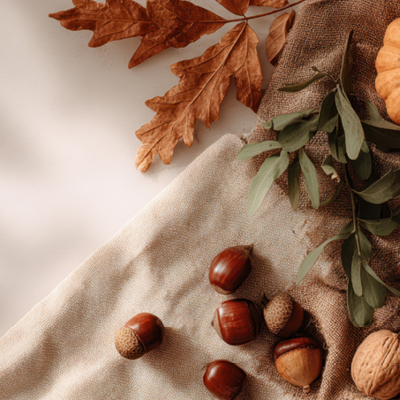 Notre sélection pour l'hiver !