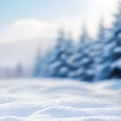 Les basiques de la saison !