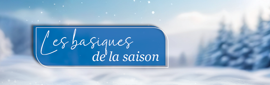 à saisir Mercredi, 19.11.
Les basiques de la saison ! à saisir Mercredi, 19.11.