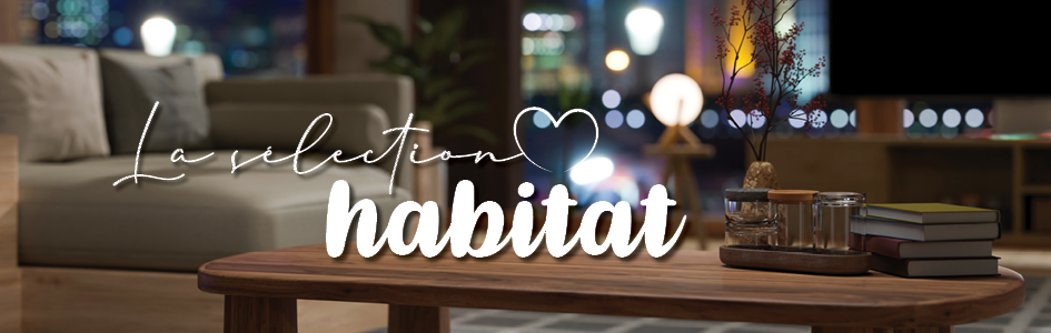 à saisir Mercredi, 10.12.