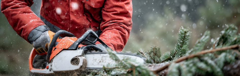 à saisir Mercredi, 04.02.