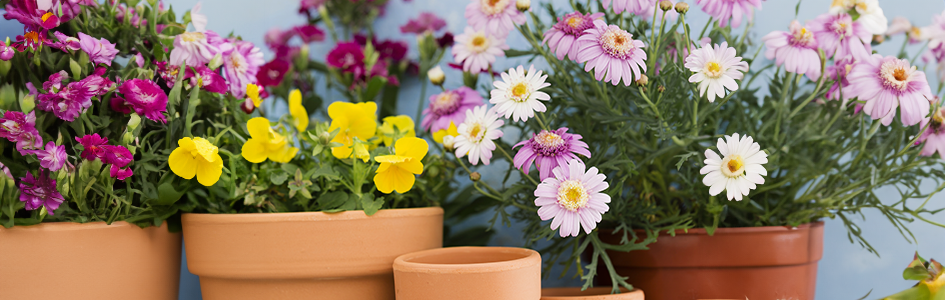 à saisir Mercredi, 04.03.