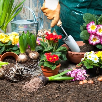 Embellisez votre jardin ! 