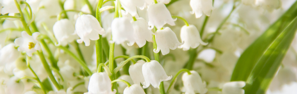 à saisir Mercredi, 29.04.