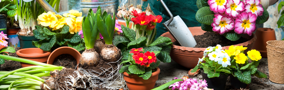 à saisir Mercredi, 06.05.