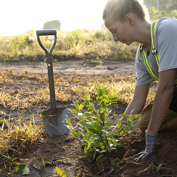 Entretenez votre jardin !