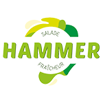 hammer Hammer