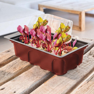 /ext/img/product/bonnes-affaires/23_03_15/200_semi_1.jpg