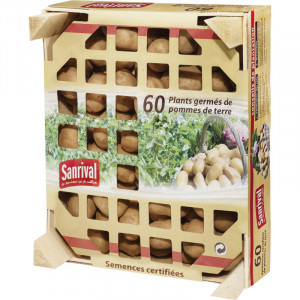 /ext/img/product/bonnes-affaires/23_03_15/500_plant_1.jpg