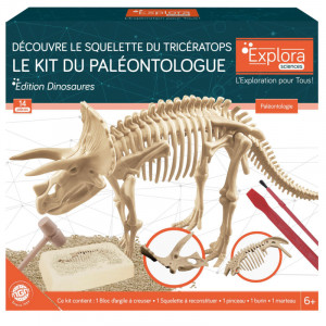 /ext/img/product/bonnes-affaires/23_03_17/200_kit_1.jpg