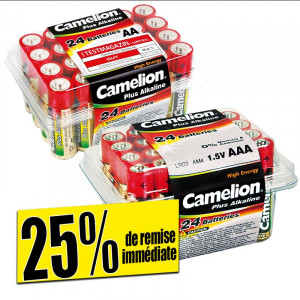 /ext/img/product/bonnes-affaires/23_03_22/100_pile_1.jpg