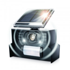 /ext/img/product/bonnes-affaires/23_03_22/200_epouvantail_1.jpg