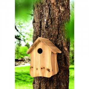 /ext/img/product/bonnes-affaires/23_03_22/200_nichoir_1.jpg