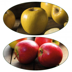 /ext/img/product/bonnes-affaires/23_03_22/500_pomme_1.jpg