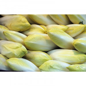 /ext/img/product/bonnes-affaires/23_03_24/100_endive_1.jpg