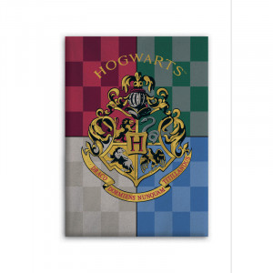 /ext/img/product/bonnes-affaires/23_03_24/200_plaid_1.jpg