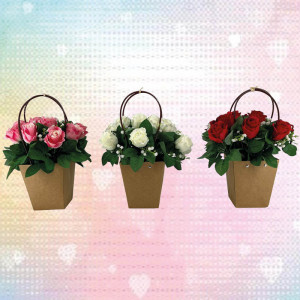 /ext/img/product/bonnes-affaires/23_05_24/300_kraft_1.jpg