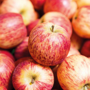 /ext/img/product/bonnes-affaires/23_05_24/600_pomme_1.jpg