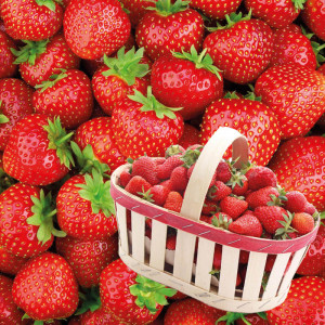 /ext/img/product/bonnes-affaires/23_05_24/700_fraise_1.jpg