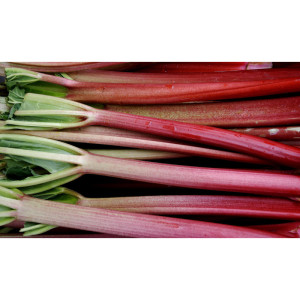 /ext/img/product/bonnes-affaires/23_05_31/500_rhubarbe_1.jpg