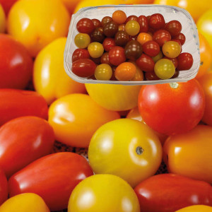 /ext/img/product/bonnes-affaires/23_05_31/600_tomate_1.jpg