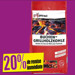 /ext/img/product/bonnes-affaires/23_06_02/100_charbon_1.jpg