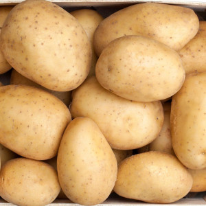 /ext/img/product/bonnes-affaires/23_09_20/700_gourmandine_1.jpg