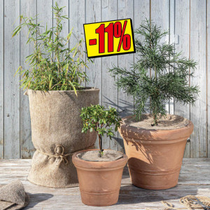 /ext/img/product/bonnes-affaires/23_11_22/200_hivernale_1.jpg