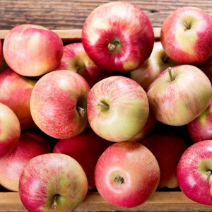 /ext/img/product/bonnes-affaires/23_11_22/600_pomme_1.jpg
