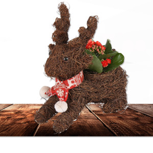 /ext/img/product/bonnes-affaires/23_11_22/700_arrangement_1.jpg