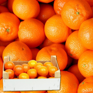 /ext/img/product/bonnes-affaires/23_11_22/800_clementine_1.jpg
