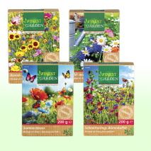 Semences de fleurs