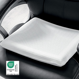 /ext/img/product/bonnes-affaires/25_03_12/400_coussin_1.jpg