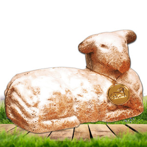 /ext/img/product/bonnes-affaires/25_03_19/900_agneau_1.jpg