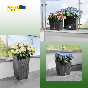 /ext/img/product/bonnes-affaires/25_04_16/300_bac_1.jpg