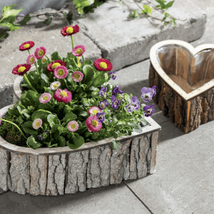 /ext/img/product/bonnes-affaires/25_04_16/300_pot_1.jpg