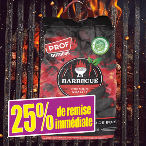 /ext/img/product/bonnes-affaires/25_04_16/800_briquettes_1.jpg