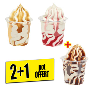 /ext/img/product/bonnes-affaires/25_04_23/700_glace_1.jpg