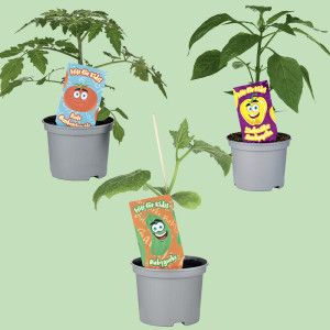 /ext/img/product/bonnes-affaires/25_05_07/1100_legumes_1.jpg