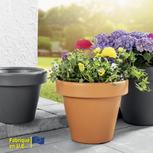 /ext/img/product/bonnes-affaires/25_05_07/1100_pot_1.jpg