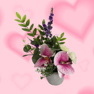 /ext/img/product/bonnes-affaires/25_05_14/600_composition_1.jpg