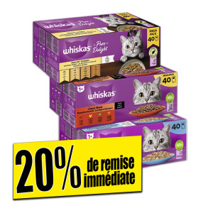 /ext/img/product/bonnes-affaires/25_06_04/100_chat_1.jpg