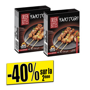/ext/img/product/bonnes-affaires/25_06_11/1000_yakitori_1.jpg
