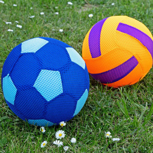 /ext/img/product/bonnes-affaires/25_06_11/300_ballon_1.jpg